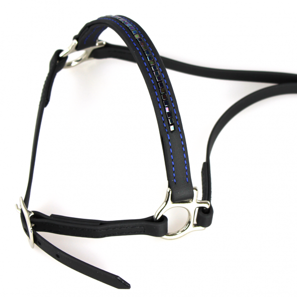 Arora_hann_zuschnitt_Q_kl