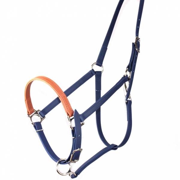 Halfter_F_navy_braun_Q_klein